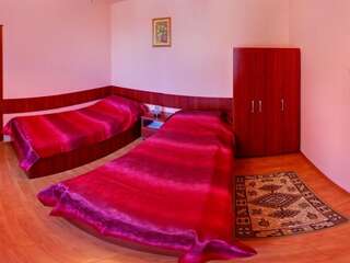 Гостевой дом Pensiunea Casa Porojan Байле-Уну-Май Двухместный номер с 2 отдельными кроватями-3